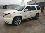 2009 Cadillac Escalade Luxury