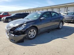 2011 Nissan Altima Base en venta en Louisville, KY