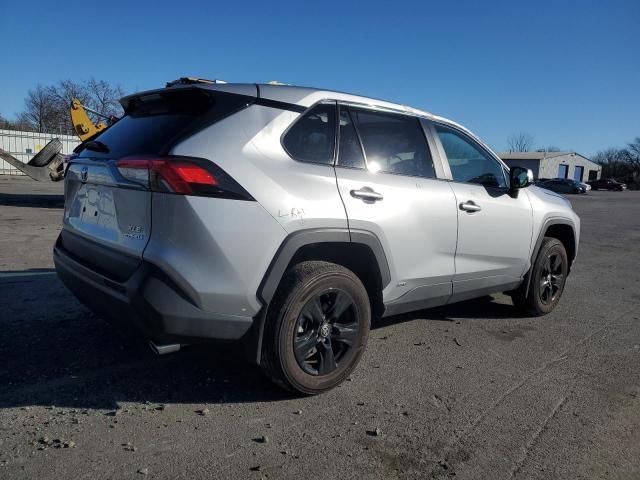 2024 Toyota Rav4 XLE