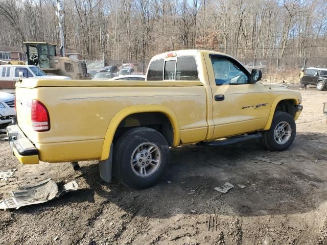 1999 Dodge Dakota