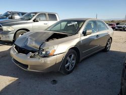 Salvage cars for sale at Tucson, AZ auction: 2003 Honda Accord EX