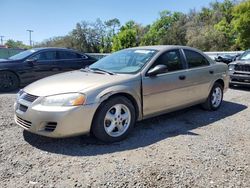 Carros salvage a la venta en subasta: 2004 Dodge Stratus SE