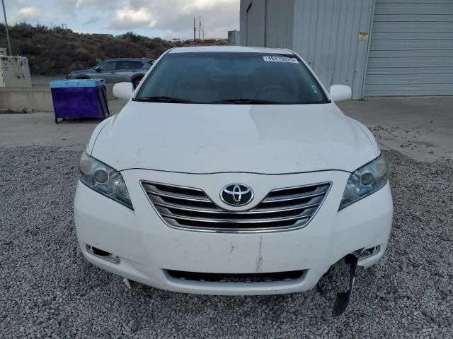 2009 Toyota Camry Hybrid