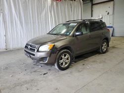 Salvage cars for sale at Albany, NY auction: 2012 Toyota Rav4