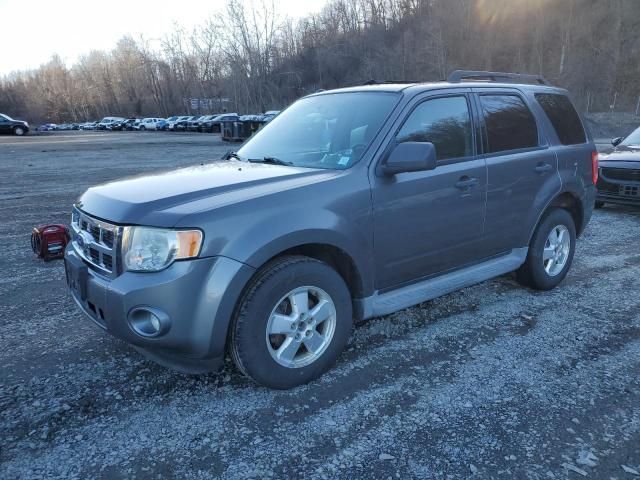 2010 Ford Escape XLT