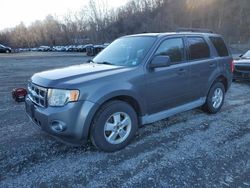 Salvage cars for sale at Marlboro, NY auction: 2010 Ford Escape XLT