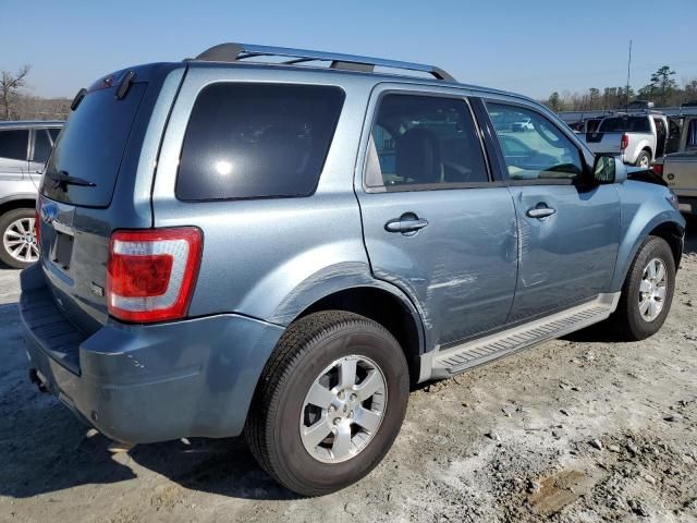 2010 Ford Escape Limited