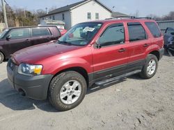 Salvage cars for sale at York Haven, PA auction: 2006 Ford Escape XLT