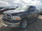 2009 Dodge RAM 1500