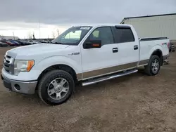 Salvage trucks for sale at Rocky View County, AB auction: 2010 Ford F150 Supercrew