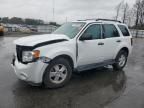 2012 Ford Escape XLS