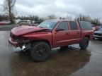 2010 Dodge Dakota SXT