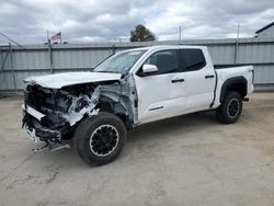 Salvage cars for sale at Florence, MS auction: 2024 Toyota Tacoma Double Cab