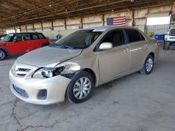 Salvage cars for sale at Phoenix, AZ auction: 2011 Toyota Corolla Base