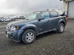 2008 Ford Escape Limited