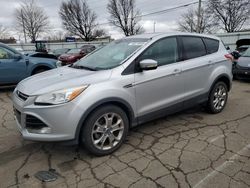 Salvage cars for sale at auction: 2013 Ford Escape SEL