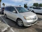 2005 Honda Odyssey EXL