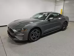 Salvage cars for sale at Phoenix, AZ auction: 2023 Ford Mustang