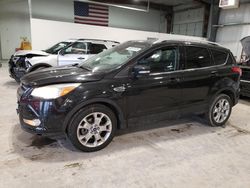 Salvage cars for sale at Greenwood, NE auction: 2014 Ford Escape Titanium