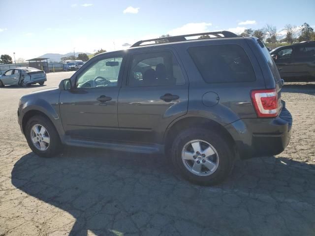 2009 Ford Escape XLT