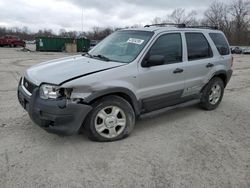 Salvage cars for sale at Ellwood City, PA auction: 2002 Ford Escape XLT