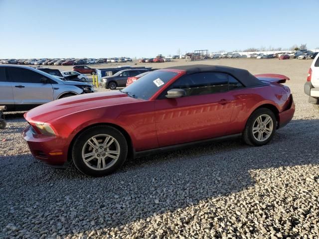 2010 Ford Mustang