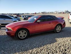 2010 Ford Mustang en venta en Earlington, KY