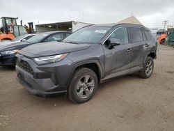 Salvage cars for sale at Brighton, CO auction: 2024 Toyota Rav4 XLE