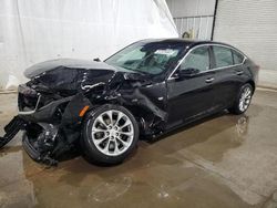 Salvage cars for sale at Central Square, NY auction: 2023 Cadillac CT5 Luxury