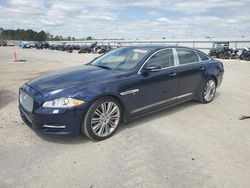 2015 Jaguar XJL Portfolio en venta en Harleyville, SC