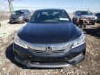 2017 Honda Accord Sport Special Edition