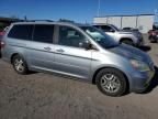 2006 Honda Odyssey EXL