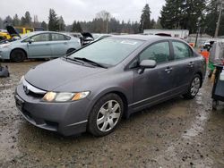 Salvage cars for sale at Graham, WA auction: 2010 Honda Civic LX