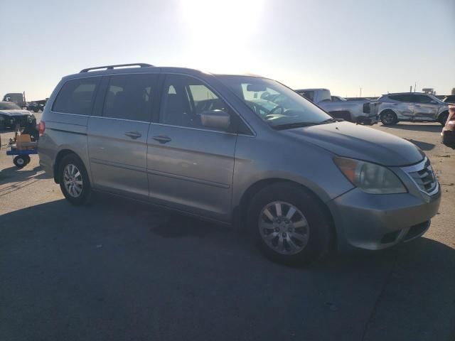 2008 Honda Odyssey EXL