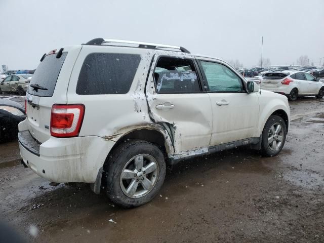 2010 Ford Escape Limited