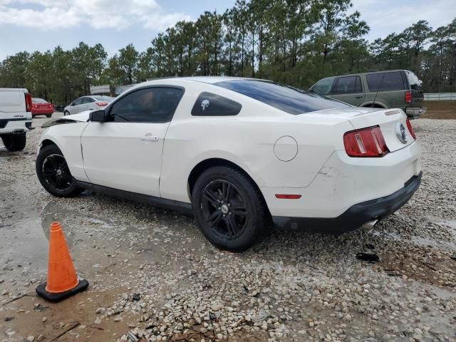 2011 Ford Mustang