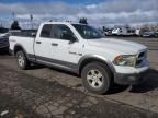 2010 Dodge RAM 1500