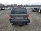 2002 Ford Escape XLT