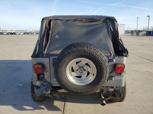 1993 Jeep Wrangler / YJ