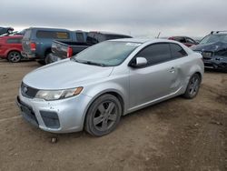 Salvage cars for sale at Brighton, CO auction: 2010 KIA Forte EX