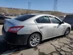 2009 Nissan Maxima S