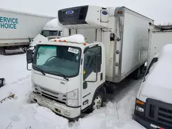 Salvage trucks for sale at Cookstown, ON auction: 2017 Isuzu NRR