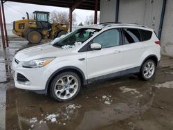 Salvage cars for sale from Copart Billings, MT: 2013 Ford Escape Titanium