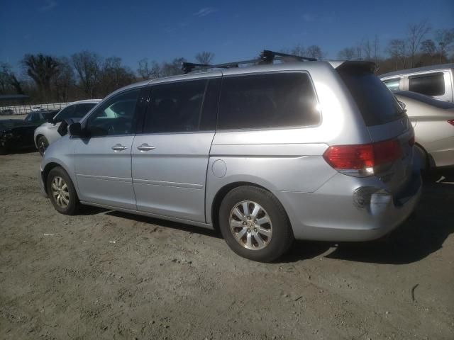 2010 Honda Odyssey EXL