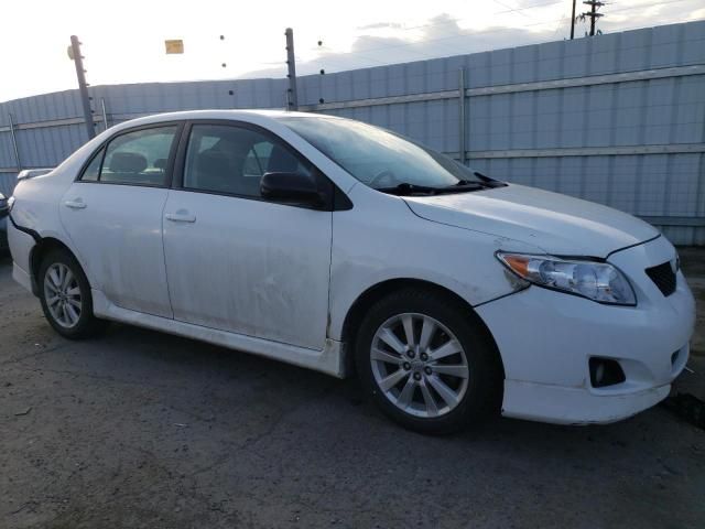 2010 Toyota Corolla Base