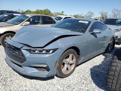 Ford salvage cars for sale: 2024 Ford Mustang