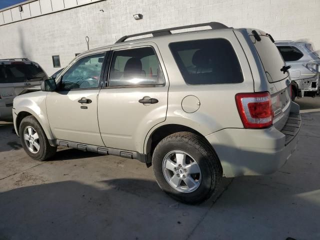 2009 Ford Escape XLT