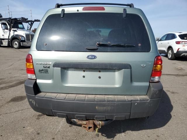 2006 Ford Escape XLT