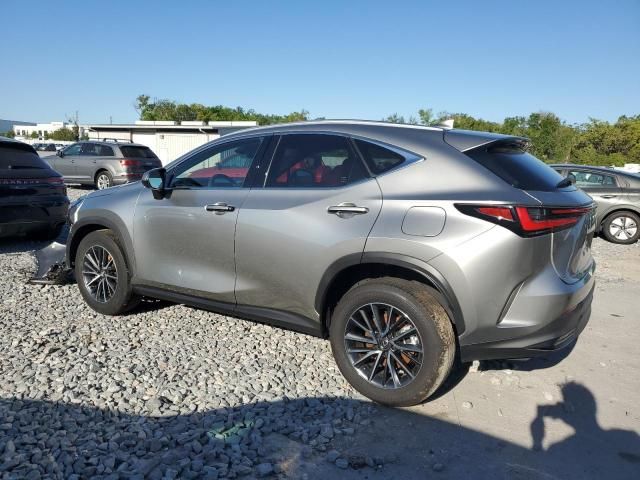 2024 Lexus NX 350H Base