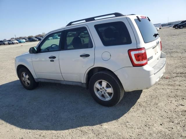 2011 Ford Escape XLT